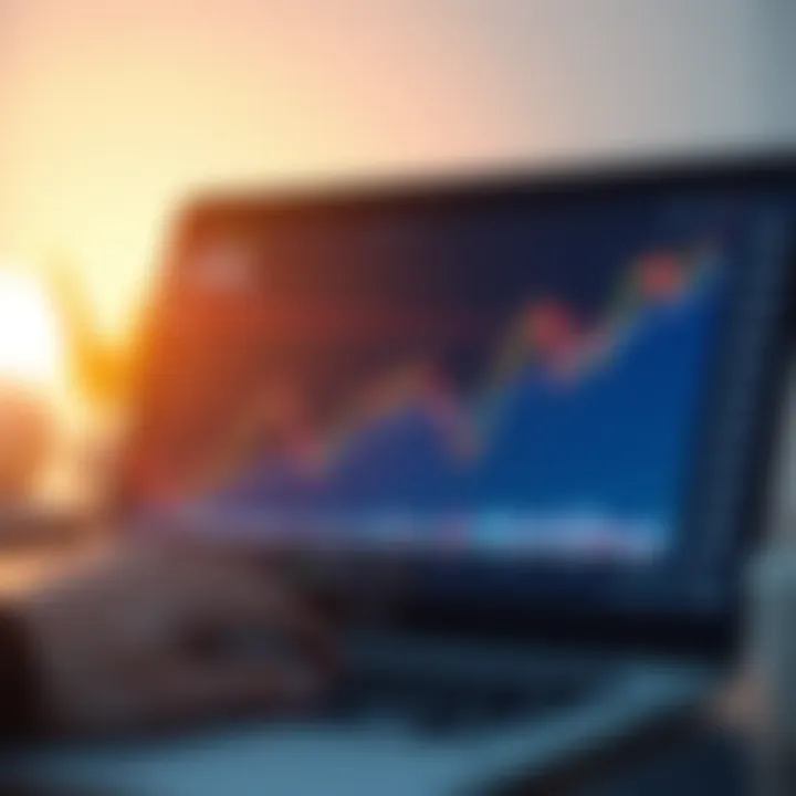 Graph showing simulated trading performance to test strategies in a risk-free environment